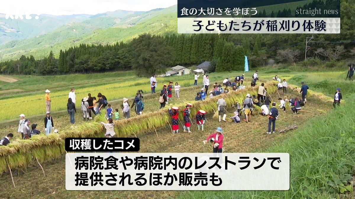 子どもたちが稲刈りを体験(6日･水上村)