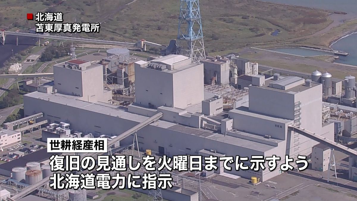 経産相　苫東厚真発電所の復旧メド提示指示