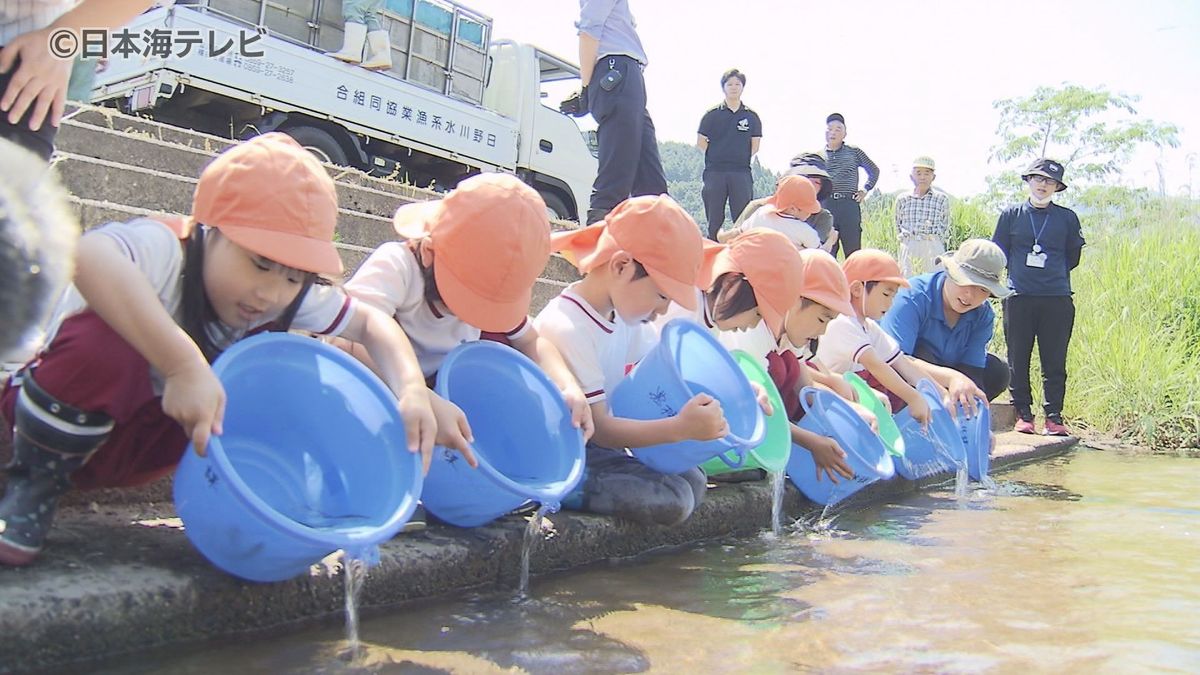 まるで“アユの滝”　初夏の日差しに包まれながら園児たちが1万匹の稚魚を放流　鳥取県日野町