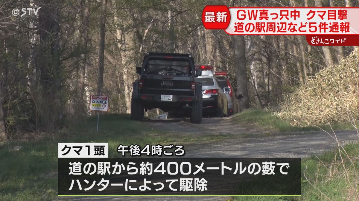 ハンターがクマ１頭駆除　市街地や道の駅周辺で目撃相次いだ個体か　北海道安平町