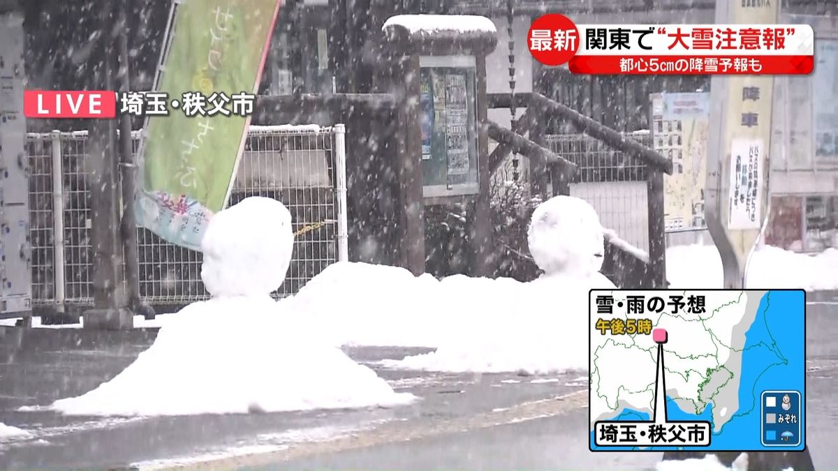 関東各地で朝から冷たい雪や雨　秩父市では積雪増える恐れも
