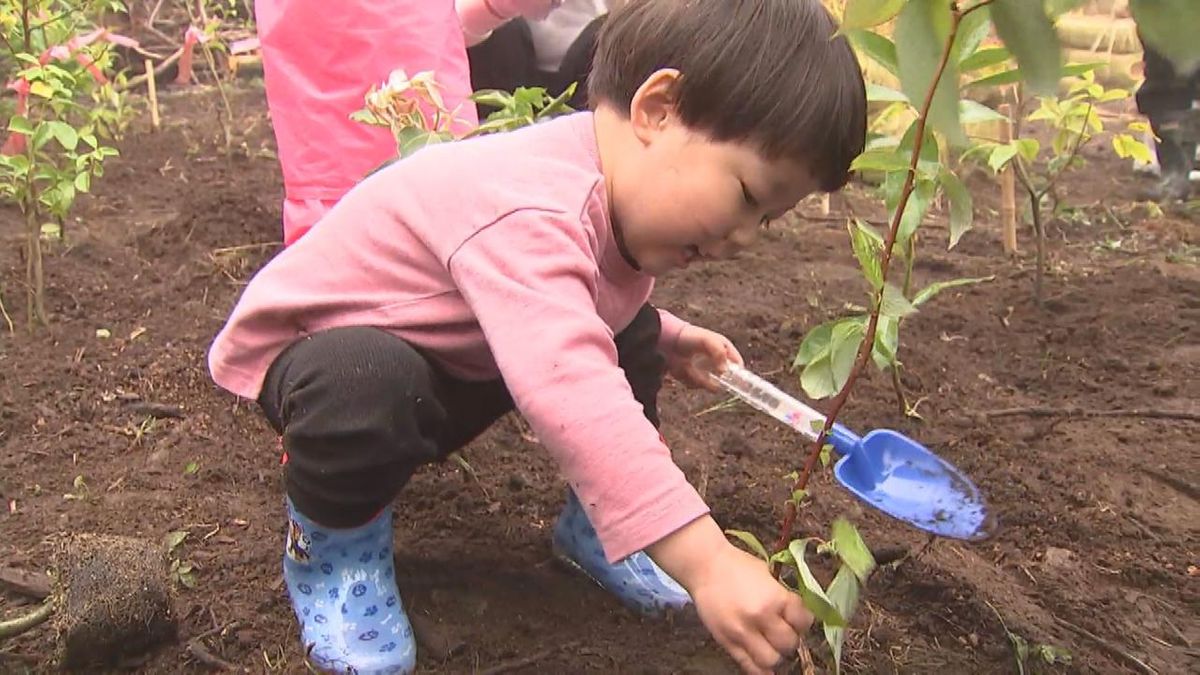 災害に強い森を目指して　国東市で植樹祭　大分