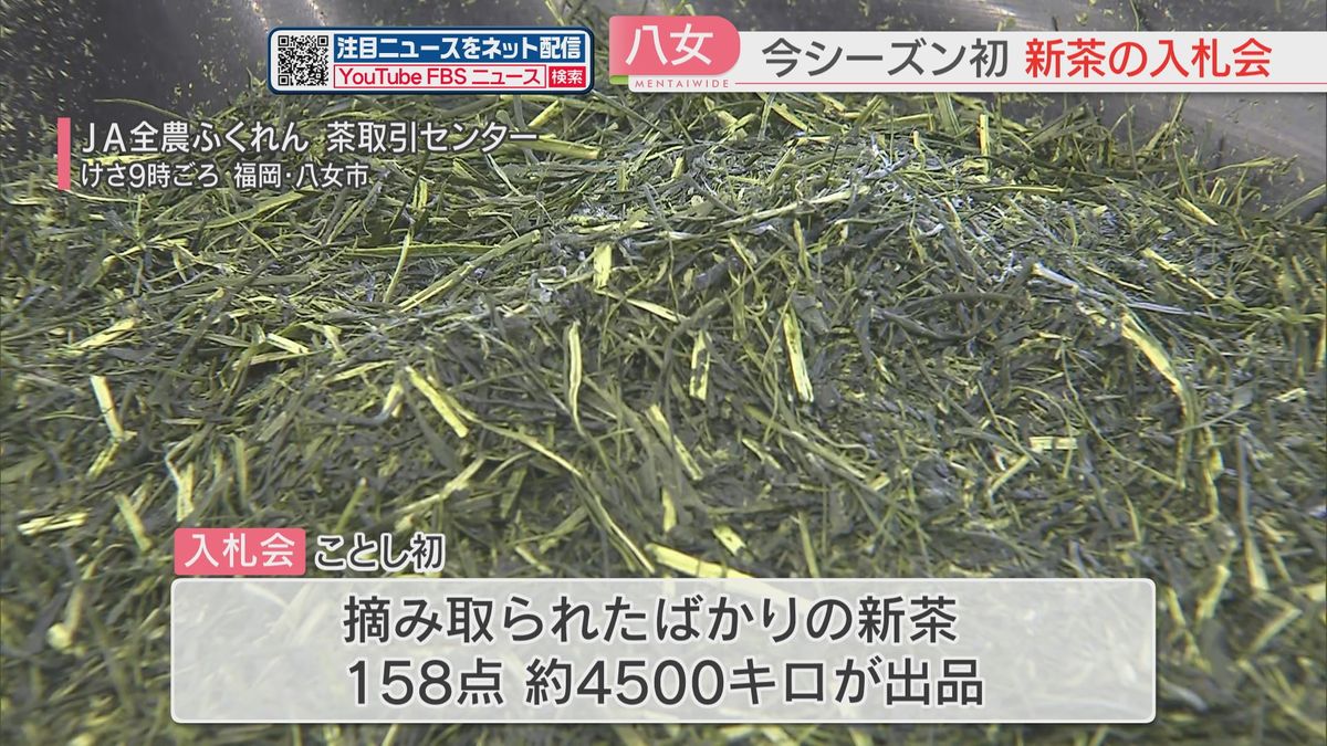 お茶の産地で新茶の入札会　摘み取られたばかりの茶葉の色や香りを確かめる　福岡・八女市