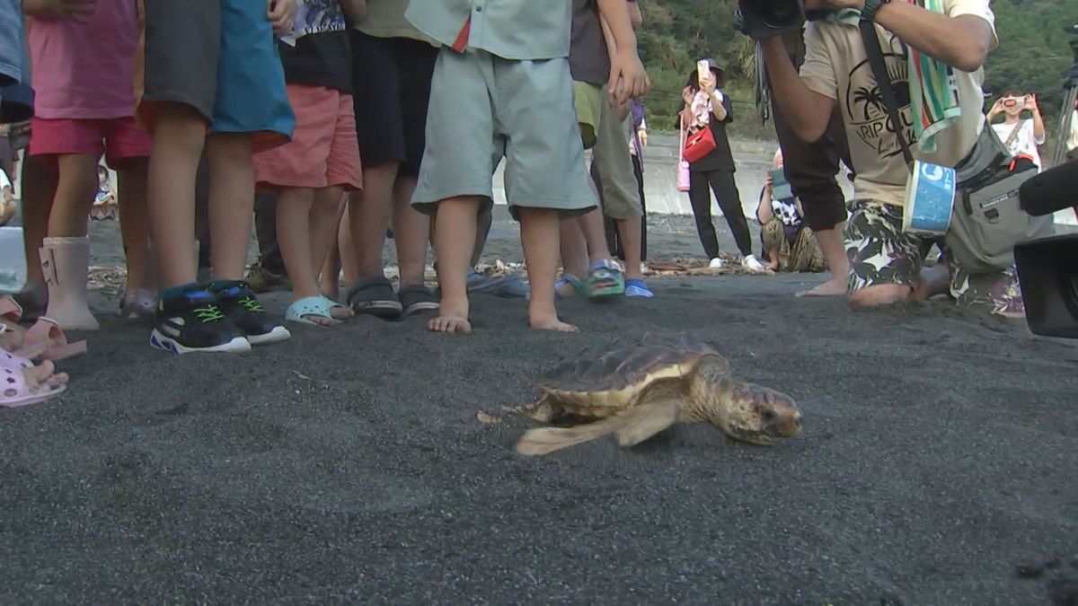 「また日本に帰ってくるのが楽しみ」子どもたち約100人がウミガメ7匹を放流　大分県佐伯市