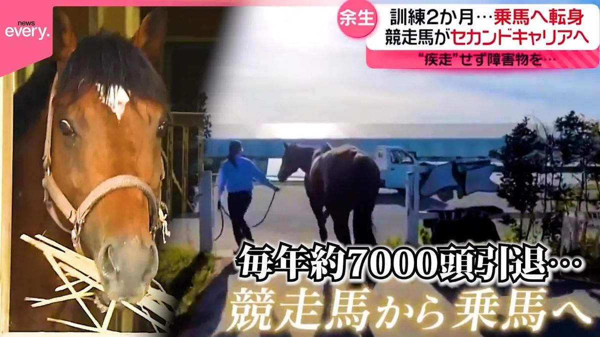 【挑戦】余生を過ごすセカンドキャリア　引退後の競走馬…新たな“居場所”『every.特集』