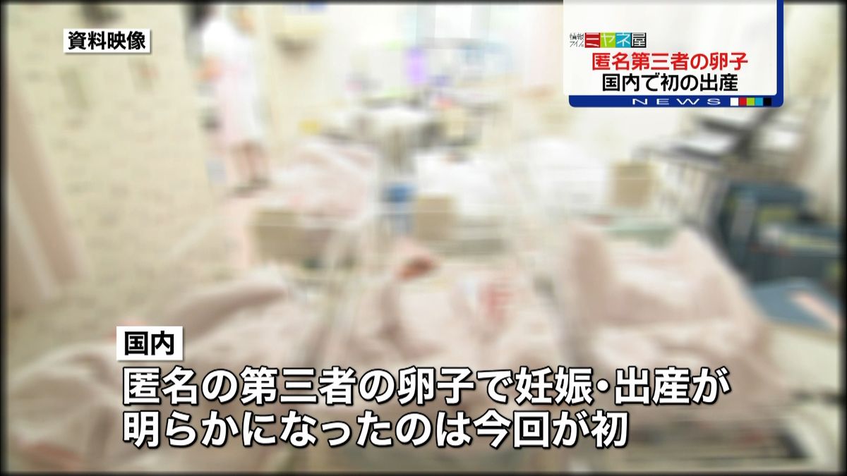 国内初　匿名の第三者から卵子提供、出産