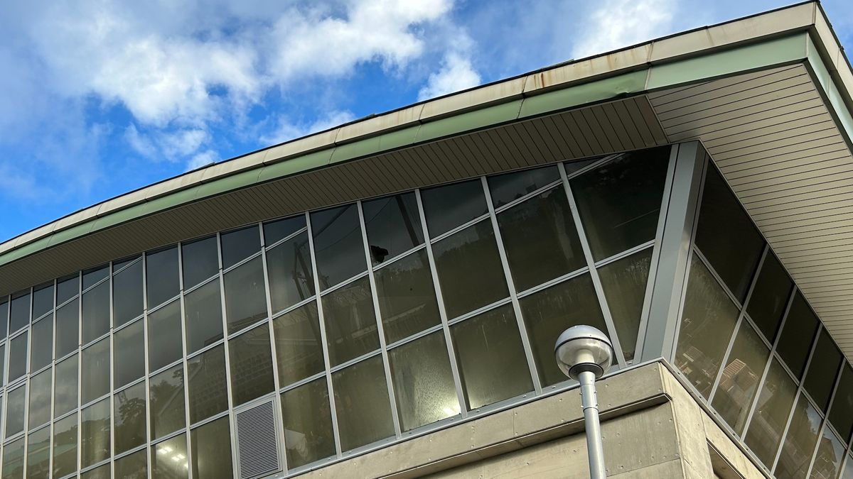 衝撃のパワー ヤクルト・オスナが練習場の窓を破壊ＳＮＳに「Suimasen」