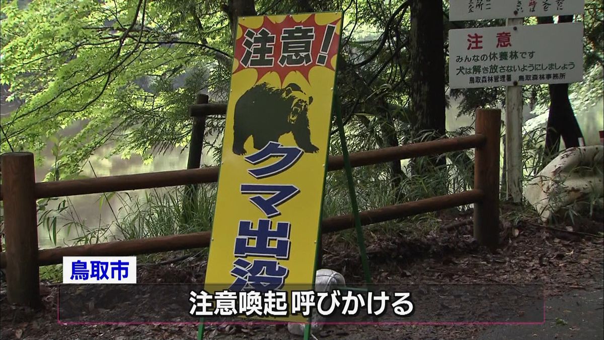 鳥取県庁近くの公園でクマ　小学校など警戒