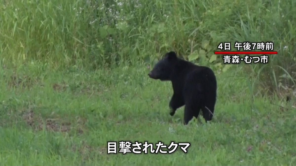 住宅街でクマの目撃相次ぎ厳重警戒　むつ市