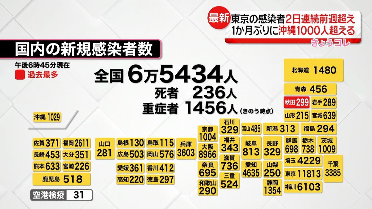 全国で6万5434人感染　死者は236人