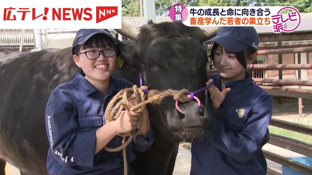 牛と成長　畜産学んだ女子高生の巣立ち