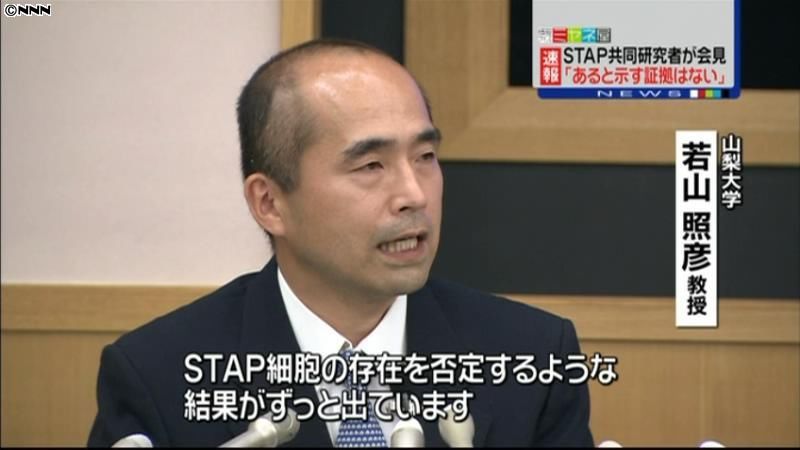 ＳＴＡＰ細胞を否定する結果～共同研究者