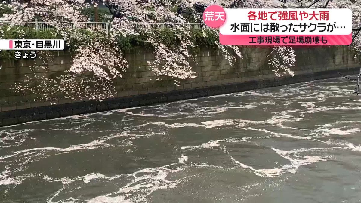 各地で強風や大雨　桜も散り…目黒川には「花いかだ」　あなたの「名残惜しかったこと」は？