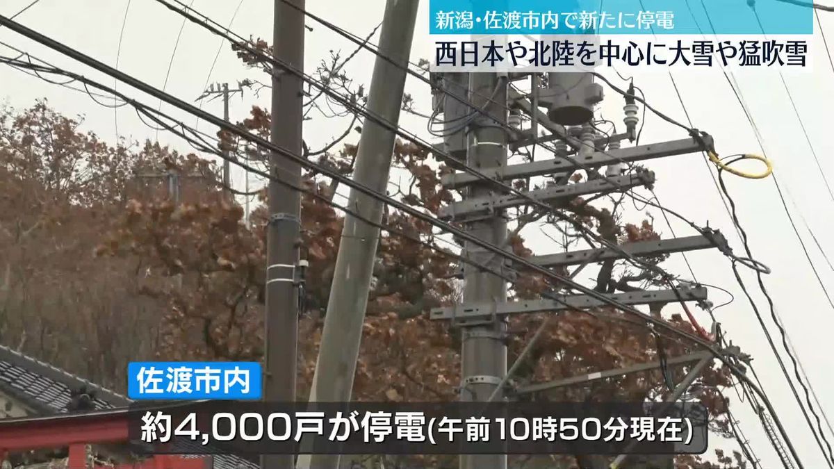 新潟　強風で新たに停電する地域も　山あいの集落では朝から雪かきに追われる