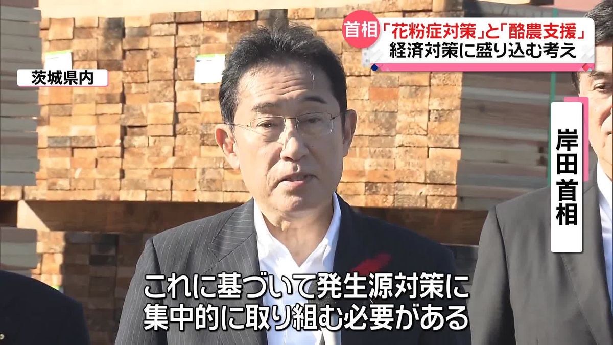 岸田首相“花粉症対策”とりまとめる考え　来週に関係閣僚会議開催