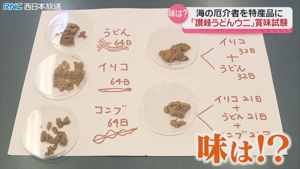 讃岐うどんウニ　「海の厄介者」を特産品に　その味は？