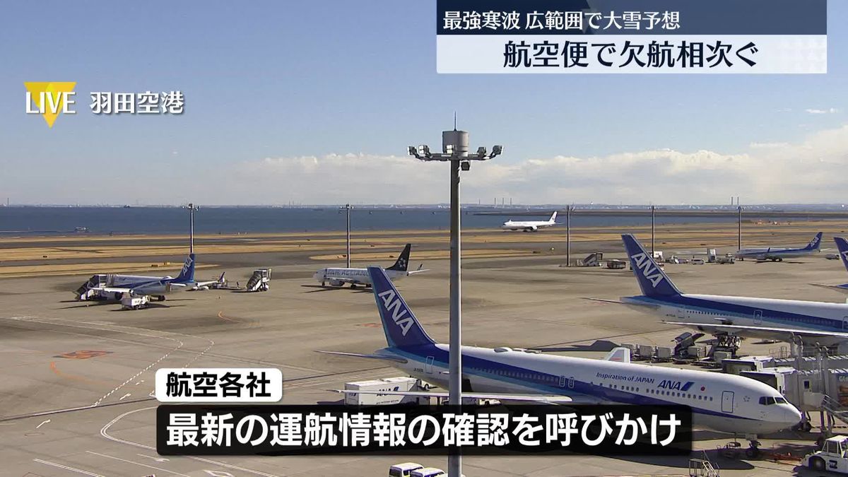 数年に一度の強い寒波…JAL29便、ANA34便が欠航