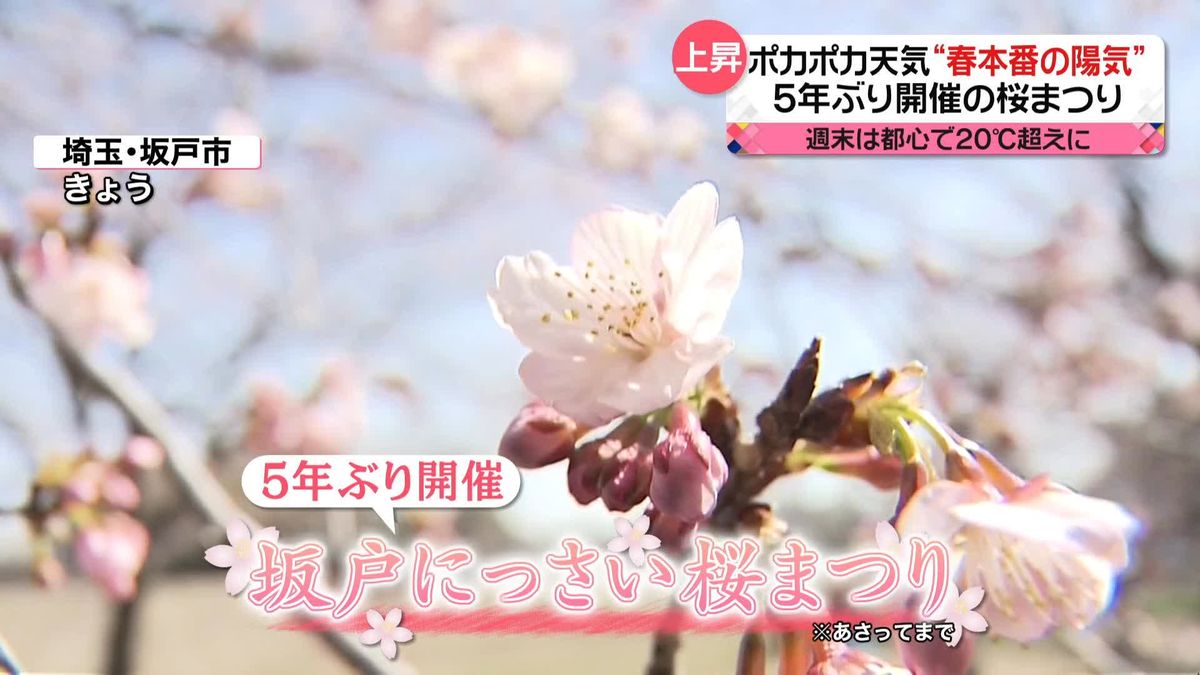 ポカポカ天気で“春本番の陽気”　週末は都心で20℃超えか