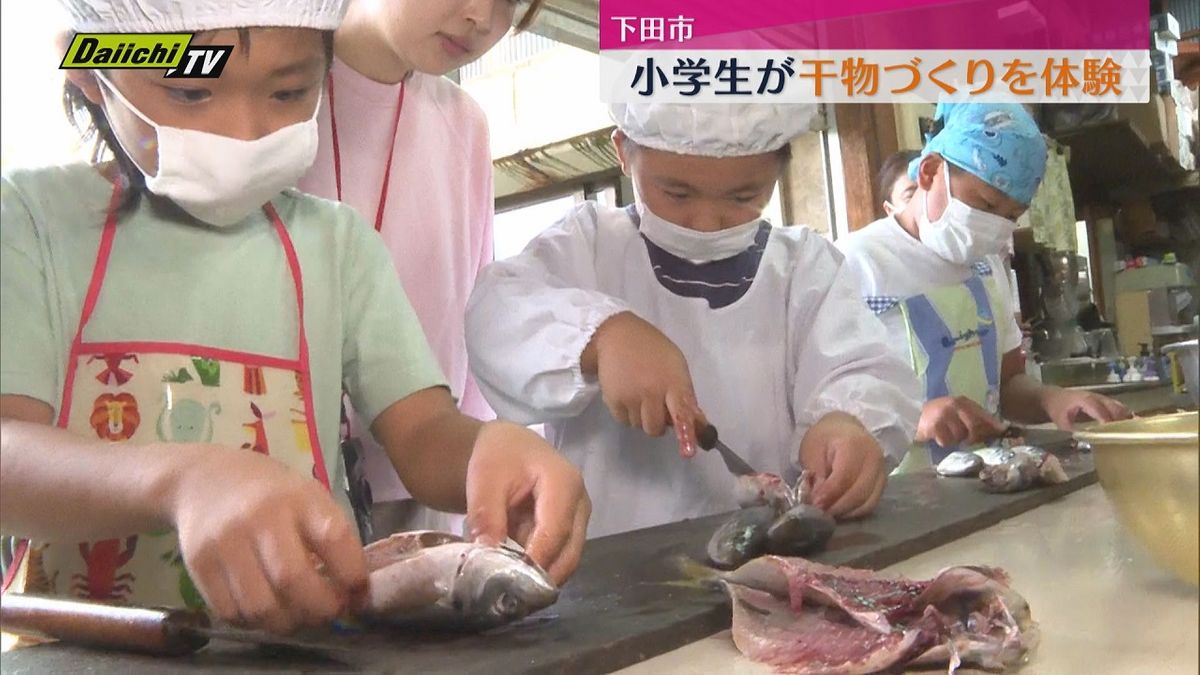 小学生が干物づくり体験　２０センチ大のマアジを干物に（下田市）