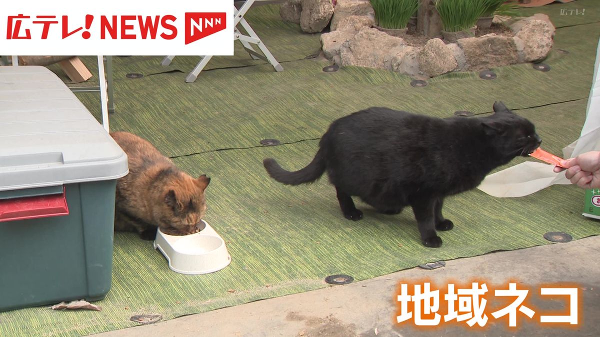 豪雨被災地の夫婦とネコがつないだ縁　西日本豪雨で解体した住宅跡地に「地域ネコ」のための小屋　広島・呉市　