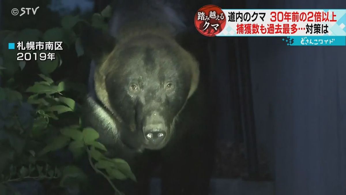出没シーズン到来どうする北海道のクマ管理「３０年前の３倍」に有識者が意見　あなたはどう思う
