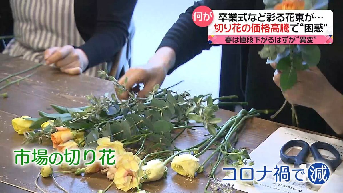 卒業式シーズンに「切り花」の価格高騰で花束が…　苗や観葉植物も価格上昇　生産者は“光熱費”に悲鳴