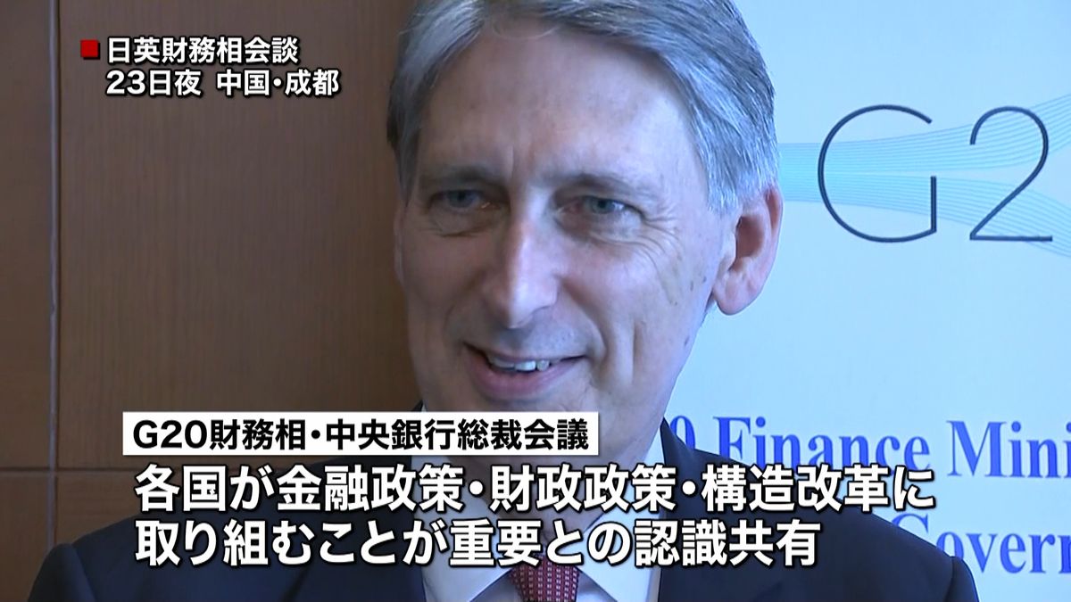 各国の金融政策が重要　Ｇ２０が認識を共有