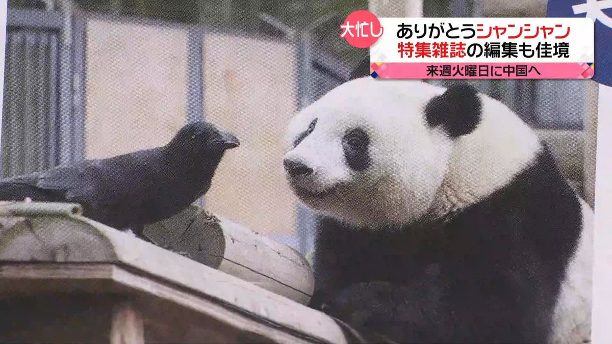 「シャンシャン」21日に中国へ…　平日では最後の観覧日　「アイドルの素質を持って生まれたパンダ」