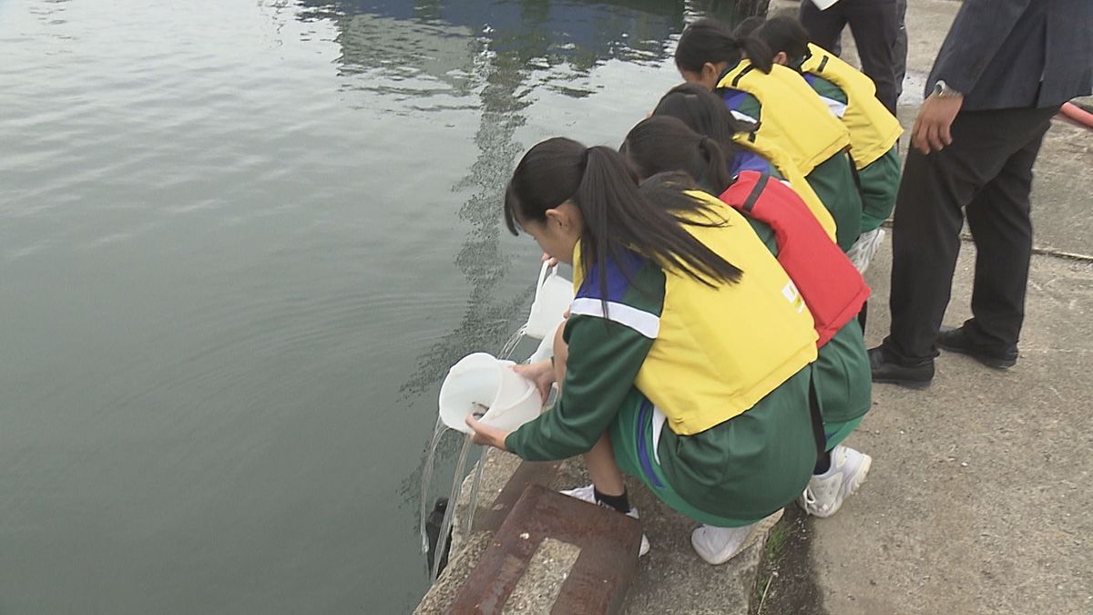 漁師の仕事への理解深めて 中学校で出前授業 キジハタの稚魚を放流