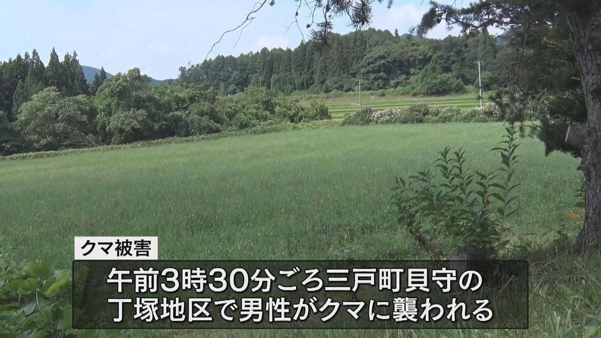 男性がクマに襲われけが　命に別条なし　青森・三戸町