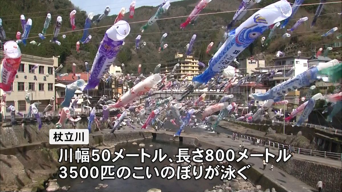 ３５００匹のこいのぼり、温泉街を泳ぐ