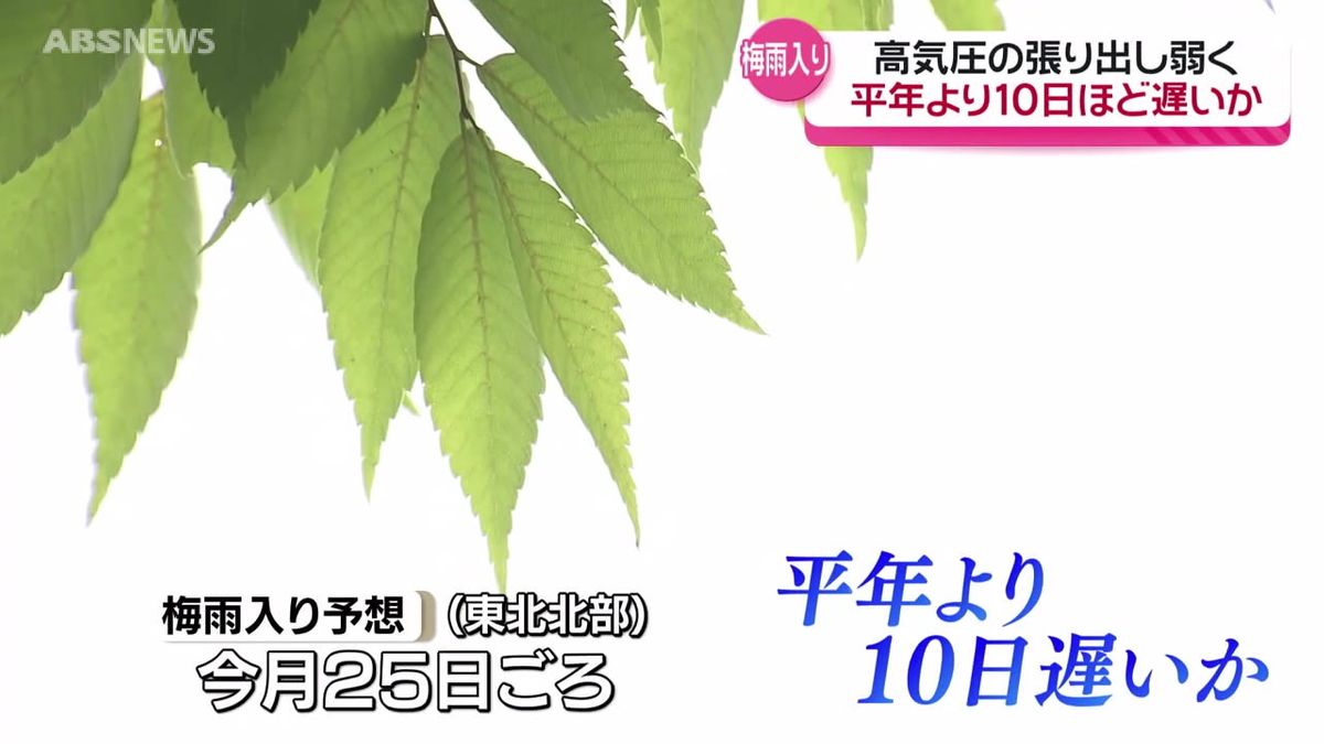 雨が少ない6月…秋田を含む東北北部の梅雨入り　平年より10日ほど遅くなる見込み