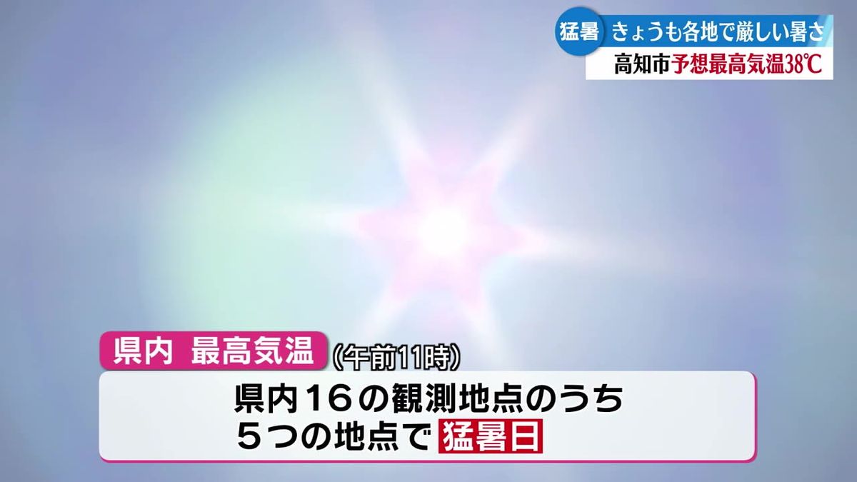 31日も猛暑 高知県内5つの地点ですでに35度を超える猛暑日に【高知】