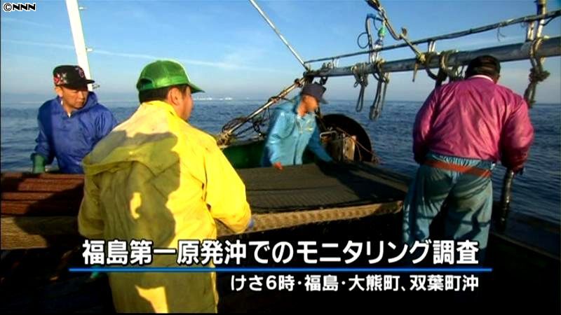福島第一原発沖で本格的な魚の汚染調査開始