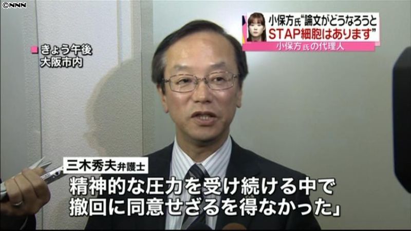 論文撤回、小保方氏は本意ではない～代理人