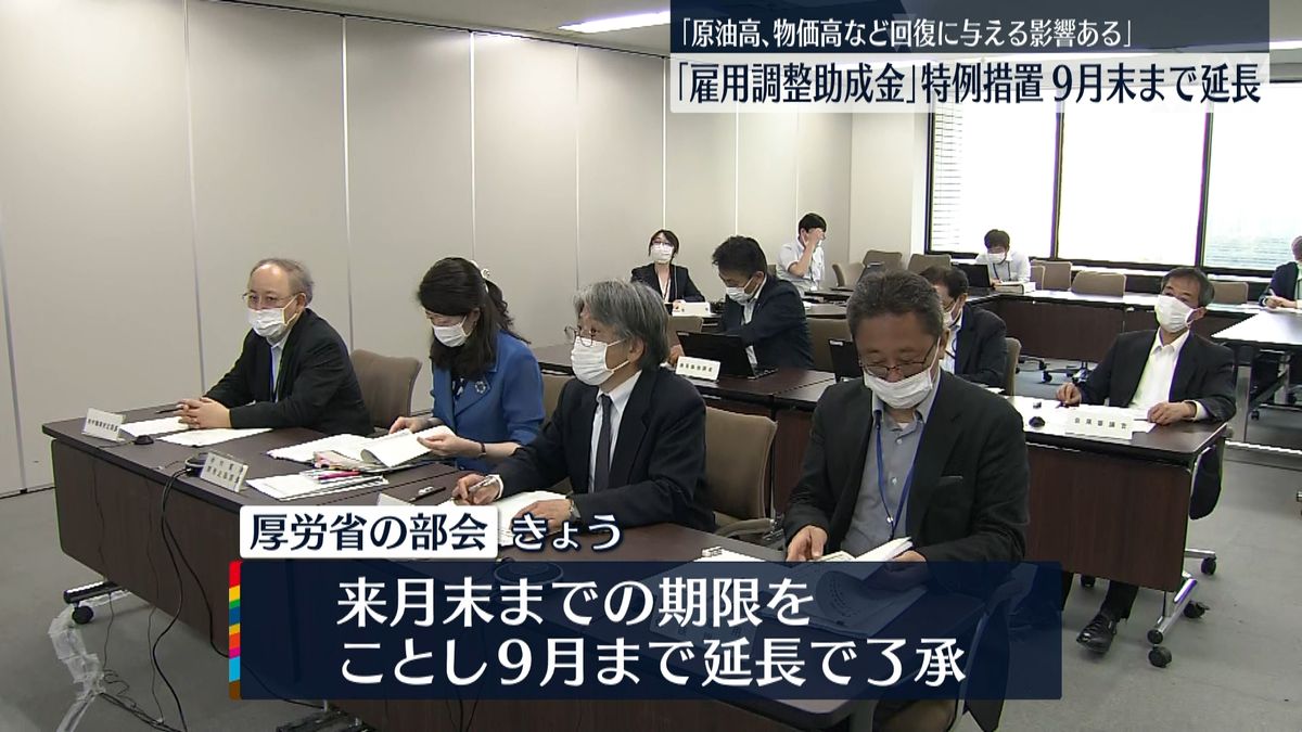 厚労省｢雇用調整助成金｣特例措置　9月末まで延長