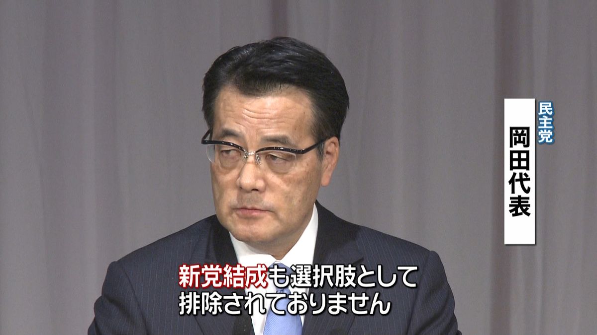 民主・岡田代表“新党も排除されていない”