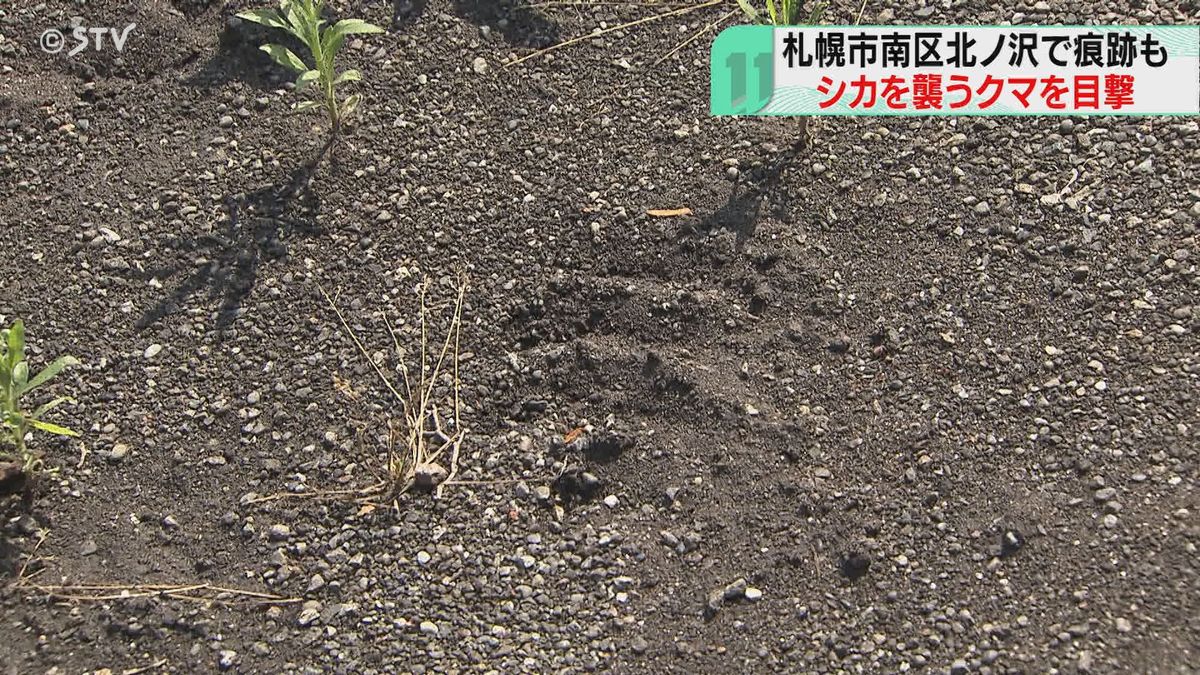 足跡とみられる痕跡