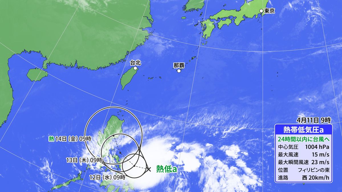 24時間以内に「台風1号」発生か フィリピンの東海上で熱帯低気圧発達