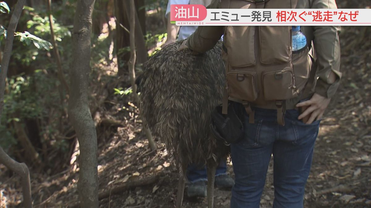 登山者が発見