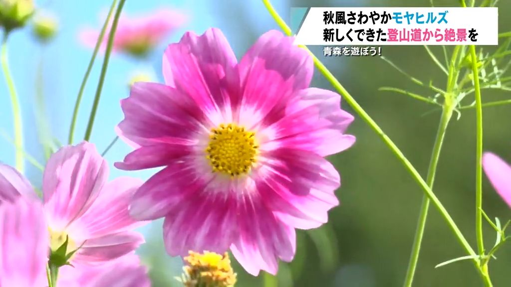 【特集】青森を遊ぼう！モヤヒルズに新しくできた登山道から絶景を楽しむ