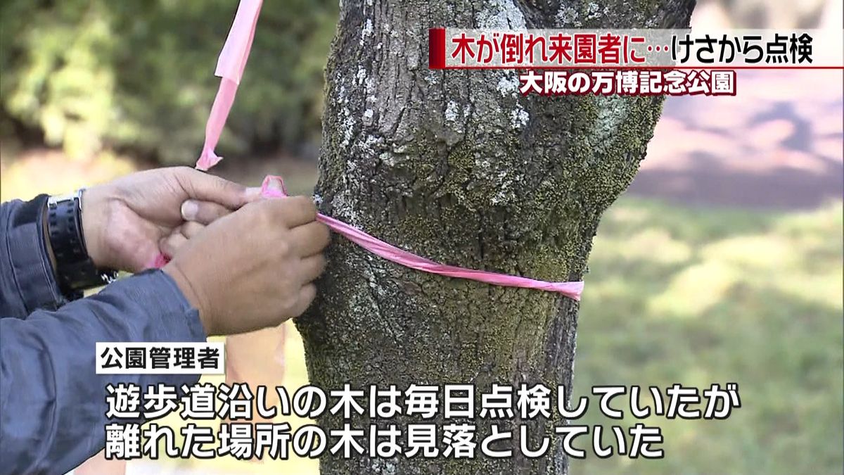 男性の頭に倒木当たる　大阪・万博記念公園
