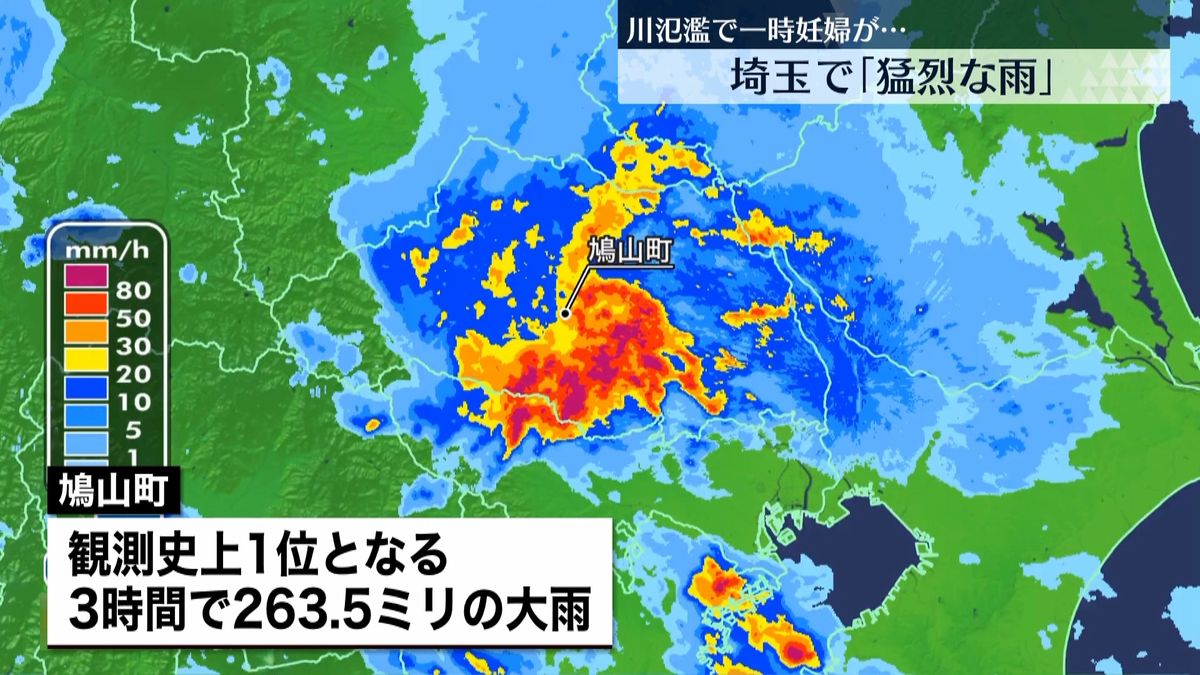 埼玉県で “数年に一度”の大雨　 鳩山町で「観測史上1位」　高速道路の冠水も　