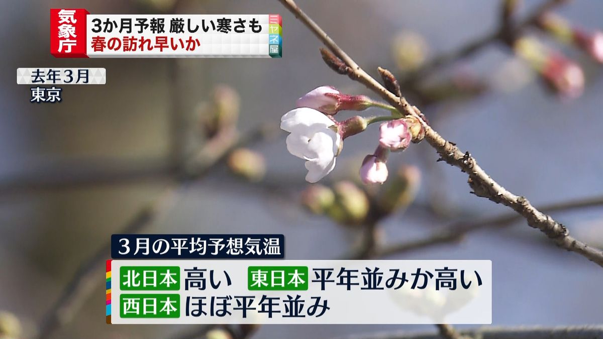 気象庁予想「2月までは厳しい寒さ、春の訪れは早い」