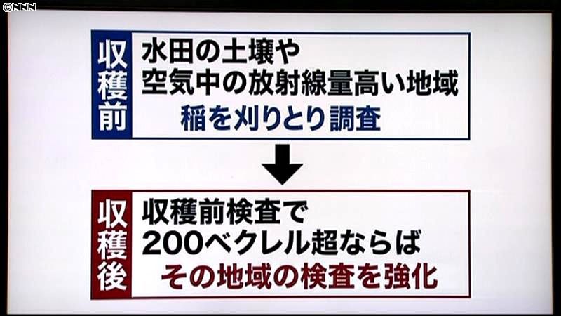 コメの放射性物質検査、収穫の前後に実施