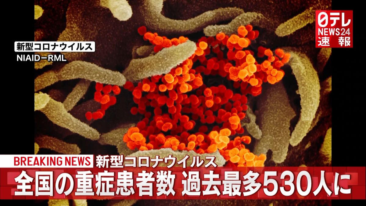 全国の重症患者数５３０人　過去最多更新