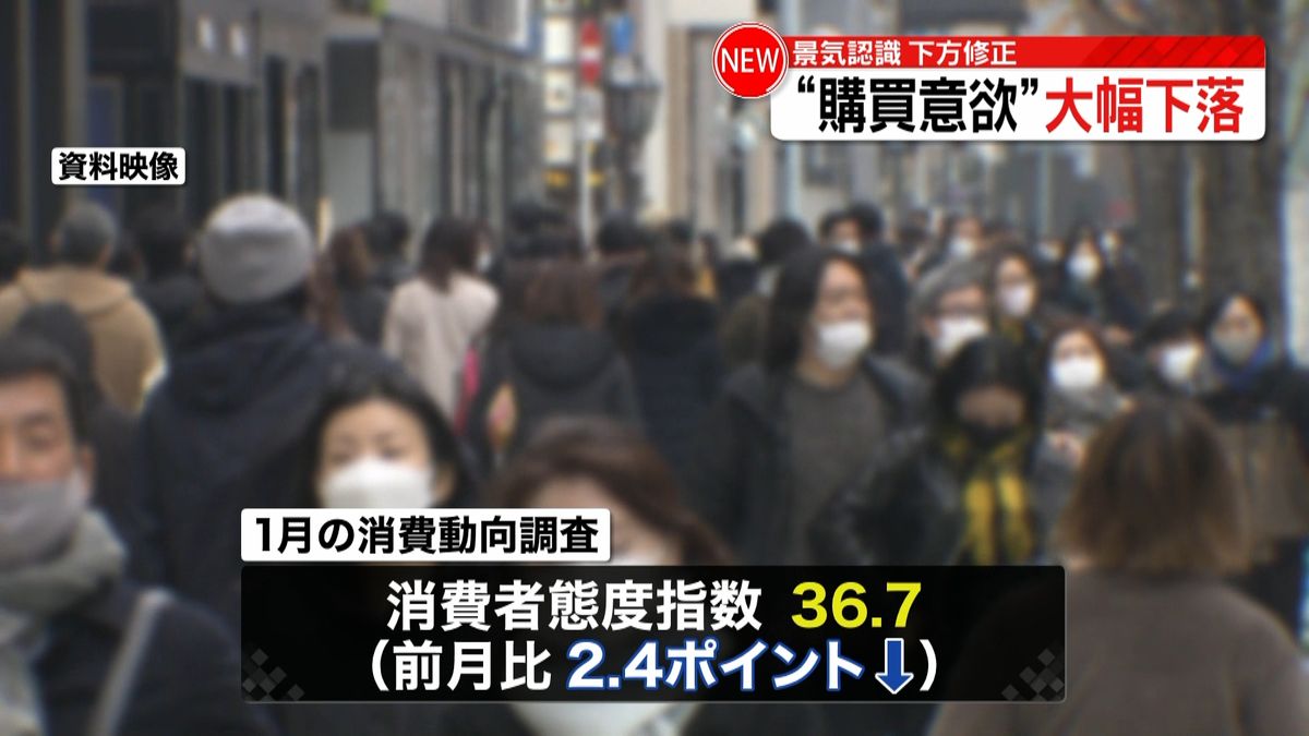 消費者の購買意欲示す指数　大幅に落ち込み