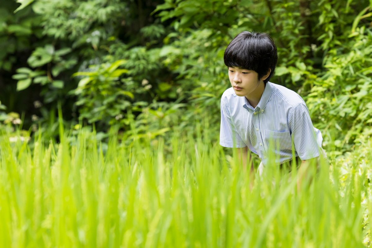 写真提供：宮内庁 悠仁さま16歳誕生日用写真 2022年8月7日撮影 赤坂御用地