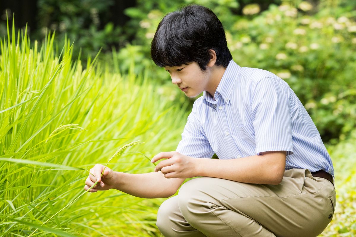 写真提供：宮内庁 悠仁さま16歳誕生日用写真 2022年8月7日撮影 赤坂御用地