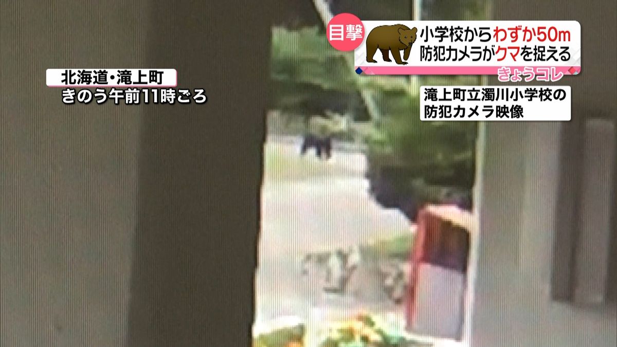 小学校からわずか５０メートル　クマを目撃